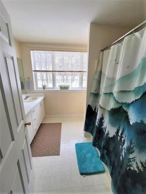 Spacious 3Br 3Ba Sleeps 8 Ski On Off Jiminy Mountain Resort Ханкок Экстерьер фото